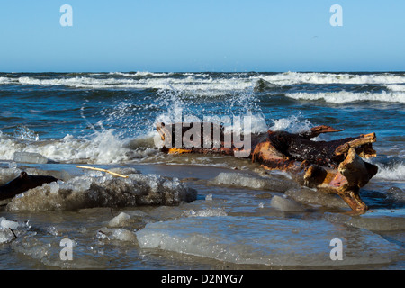 Plätschernden Wellen über ein Holz am Strand der Ostsee. Stockfoto