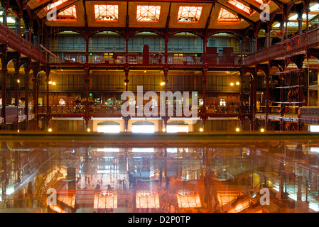 Museum Nationalgeschichte Naturelle, Interieur, Paris, Frankreich (Museum National d ' Histoire Naturelle) Stockfoto