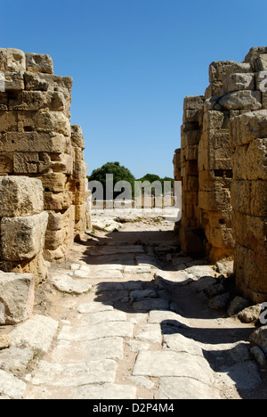 Selinunte. Sizilien. Italien. Blick in Richtung auf das Nordtor auf der Akropolis. Stockfoto