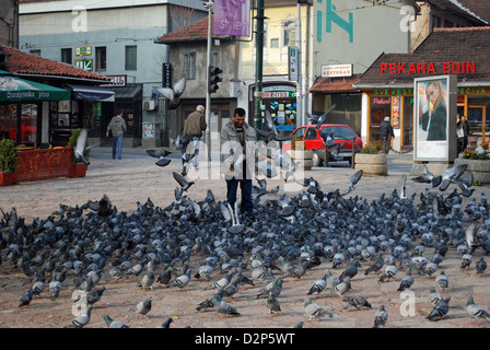 Mann mit Tauben in Baščaršija, Altstadt in Sarajevo Stockfoto