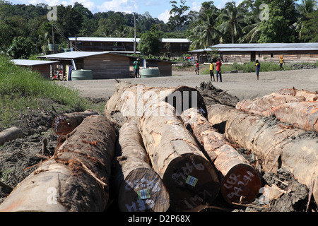 Baumstämme in der Nähe von einem Protokollierung Arbeitnehmer Dorf in der Provinz Madang, Papua-Neu-Guinea Stockfoto