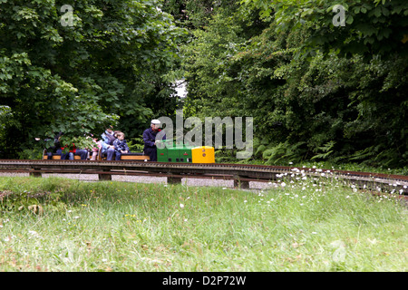 Mann fahren Diesel-Zug bei Ashton Gericht Stockfoto