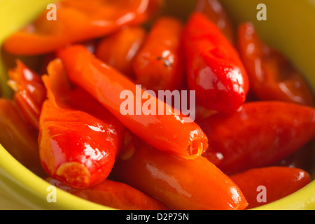 Aji Picante, winzige rote mexikanische eingelegte Paprika Stockfoto