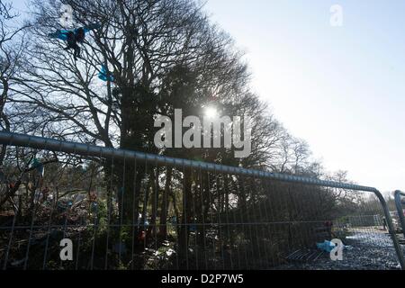 die letzten Demonstranten werden von den Bäumen am Lockvogel Teich Combe Haven entfernt. Bexhill - Hastings Bypass. Es gibt eine große Sicherheit Prescence - mitten in einem schlammigen Sumpf. Rund 100 Polizei und wandte sich Up und Sicherheit.  15 Personen bleiben in den Bäumen East Sussex Felsenarena Rat drängt auf die Straße gebaut werden verweigert Nahrung und Medizin in die Bäume.  Die Baum-Demonstranten saßen 3 Nächte von Sturm und Regen Stockfoto