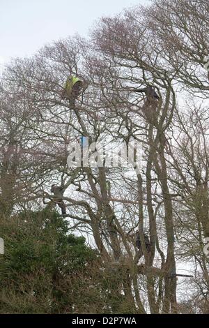 die letzten Demonstranten, die von den Bäumen am Lockvogel Teich Combe Haven entfernt werden. Bexhill - Hastings Bypass. Es gibt eine große Sicherheit Prescence - mitten in einem schlammigen Sumpf. Rund 100 Polizei und wandte sich Up und Sicherheit.  15 Personen bleiben in den Bäumen East Sussex Felsenarena Rat drängt auf die Straße gebaut werden verweigert Nahrung und Medizin in die Bäume.  Die Baum-Demonstranten saßen 3 Nächte von Sturm und Regen Stockfoto