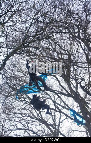 Lara eine fo die letzten Demonstranten, die von den Bäumen am Lockvogel Teich Combe Haven entfernt werden. Bexhill - Hastings Bypass. Es gibt eine große Sicherheit Prescence - rund 100 Polizei und wandte sich Up und Sicherheit.  15 Personen bleiben in den Bäumen East Sussex Felsenarena Rat drängt auf die Straße gebaut werden verweigert Nahrung und Medizin in die Bäume.  Die Baum-Demonstranten saßen 3 Nächte von Sturm und Regen Stockfoto