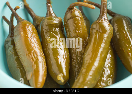 Mexikanische eingelegte Paprika Serrano Stockfoto