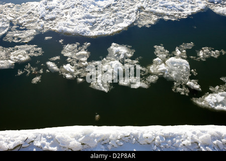 große Teile der schwimmendes Eis am South Saskatchewan River im Winter fließt durch die Innenstadt von Saskatoon Saskatchewan Kanada Stockfoto