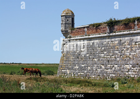 Brouage, befestigte Stadt, Charente Maritime, SW-Frankreich Stockfoto