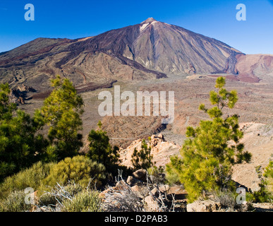 Pico de Teide, Spaniens höchsten Berg, auf der Insel Teneriffa, Kanarische Inseln, Spanien Stockfoto