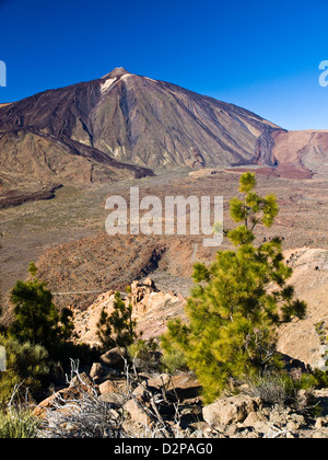 Pico de Teide, Spaniens höchsten Berg, auf der Insel Teneriffa, Kanarische Inseln, Spanien Stockfoto