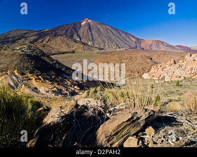 Pico de Teide, Spaniens höchsten Berg, auf der Insel Teneriffa, Kanarische Inseln, Spanien Stockfoto