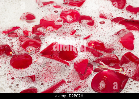 Badewasser mit Rosenblättern Stockfoto