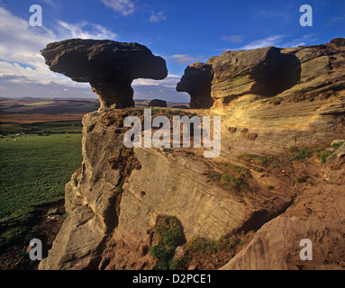 Ungewöhnliche Rock Formation Hoodoo Fife Schottland bekannt als The Motorhaube Stone Stockfoto