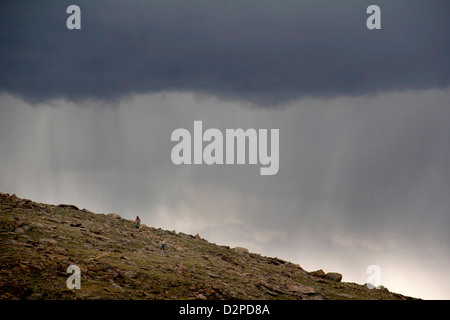 Donner Sturm Rocky Mountain National Park Colorado Stockfoto