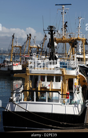 Der Flotte sind die Heimat. Angelboote/Fischerboote vertäut im Hafen von Brixham Stockfoto