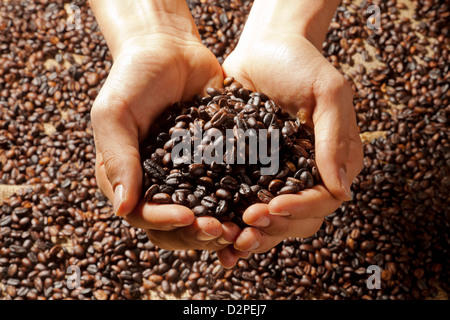 Berlin, Deutschland, Handgeroestete Arabica-Bohnen Stockfoto