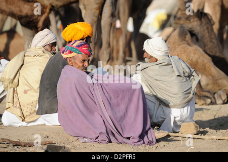 Kamel Herder mit Kamelen in Richtung Pushkar Camel Fair Stockfoto