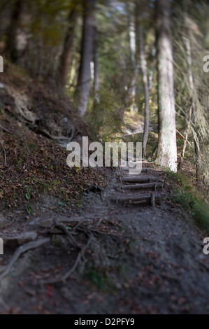 Bonndorf, Deutschland, Wandern in der Wutachschlucht Stockfoto