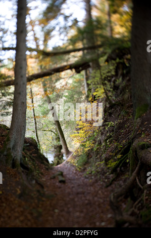 Bonndorf, Deutschland, Wandern in der Wutachschlucht Stockfoto