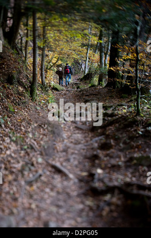 Bonndorf, Deutschland, Vater und Sohn auf einem Wanderweg in der Wutachschlucht Stockfoto