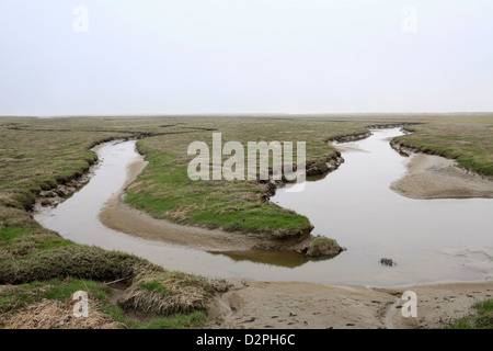 Sankt Peter-Ording, Deutschland, Gezeiten Bäche und Salzwiesen am Strand Stockfoto