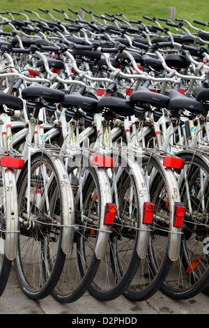 Hallig Hooge, Deutschland, Fahrräder einen Fahrradverleih Stockfoto