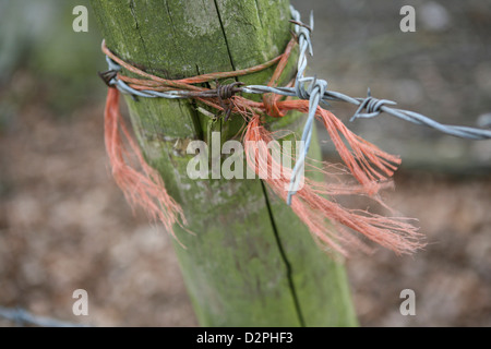 Stacheldraht und orange Ballenpresse Bindfäden Schnur umwickelt einen alten hölzernen Pfosten. Stockfoto