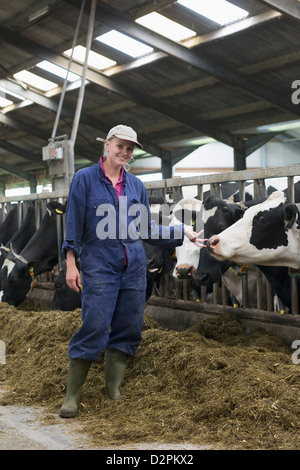 Kaukasische Landarbeiter stehend mit Milchkühen Stockfoto