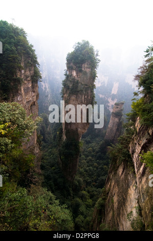 Dramatische Landschaft in Zhangjiajie National Forest Park in Hunan. Stockfoto