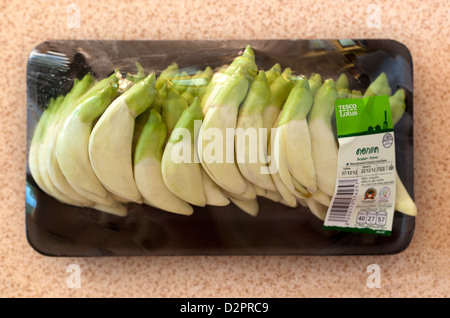 Sesban Blume Stockfoto