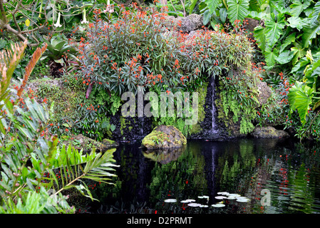 Garten-Teich im Fairchild Botanical Garden. Coral Gables, Florida, USA. Stockfoto