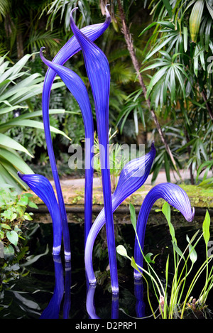 Chihuly Glasskulpturen in einem Teich. Fairchild Botanical Garden. Coral Gables, Florida, USA. Stockfoto