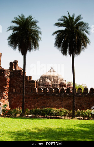 Ruine einer Festung, alte Festung, Delhi, Indien Stockfoto