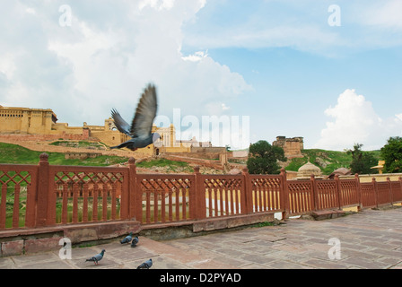 Niedrigen Winkel Ansicht eines Forts, Maotha See, Amber, Amber Fort, Jaipur, Rajasthan, Indien Stockfoto