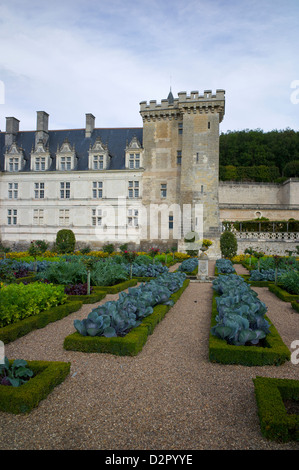 Gemüsegarten, Chateau de Villandry, UNESCO-Weltkulturerbe, Indre-et-Loire, Touraine, Loiretal, Frankreich Stockfoto