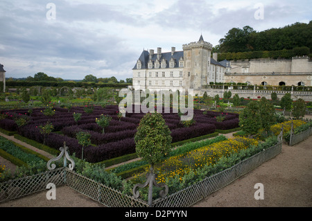 Gärten, Chateau de Villandry, UNESCO-Weltkulturerbe, Indre-et-Loire, Touraine, Loiretal, Frankreich Stockfoto