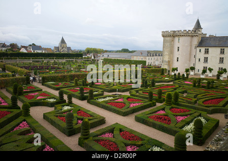 Gärten, Chateau de Villandry, UNESCO-Weltkulturerbe, Indre-et-Loire, Touraine, Loiretal, Frankreich Stockfoto