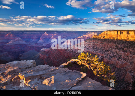 Pipe Creek Vista Point Overlook, South Rim, Grand Canyon National Park, Arizona, USA Stockfoto