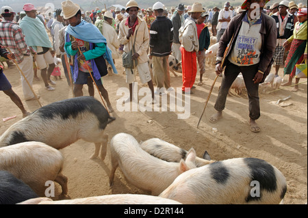 Freitagsmarkt in der Betsileo Land, Fianarantsoa, Madagaskar, Afrika Stockfoto