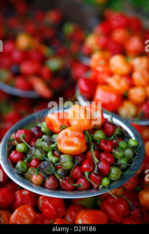 Paprika in Sao Joaquim Markt, (Salvador de Bahia), Salvador Bahia, Brasilien, Südamerika Stockfoto