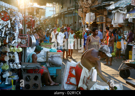 Sao Joaquim Markt, Salvador (Salvador de Bahia), Bahia, Brasilien, Südamerika Stockfoto