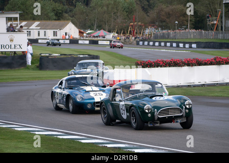 Selby Cobra Rennwagen im Shelby Cup Rennen beim Goodwood Revival meeting Stockfoto