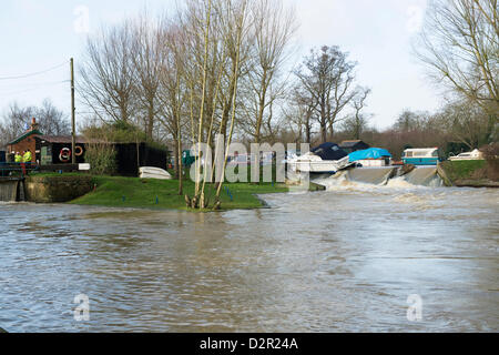 Kleine Baddow, Essex, England. 31. Januar 2013.  Eine Motoryacht, Miss Behavin', sitzt prekär auf ein Wehr bei Paper Mill Lock. Der Fluss ist sehr hoch und schnell nach den letzten Regen und Schnee schmelzen. Beamte aus Essex Wasserstraßen haben das Schiff und warten darauf, sie zurückzugewinnen. Es wird vermutet, dass Vandalen die Festmacher Seile genommen haben, da das Boot 200m abgedriftet ist und Seilen können nicht gefunden werden. Allsorts Stock Foto/Alamy Live-Nachrichten Stockfoto