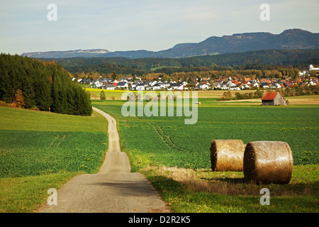 Ländliches Herbst Motiv mit Lauffen-Dorf in der Nähe von Villingen Schwarzwald Schwarzwald-Baar, Baden-Württemberg, Deutschland Stockfoto