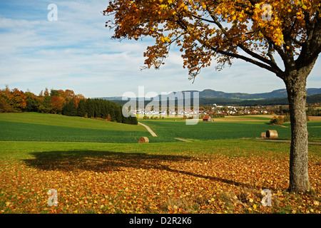 Ländliches Herbst Motiv mit Lauffen-Dorf in der Nähe von Villingen Schwarzwald Schwarzwald-Baar, Baden-Württemberg, Deutschland Stockfoto