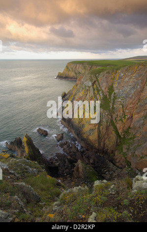 Mull of Galloway, Schottlands am südlichsten Punkt, Rhins of Galloway, Dumfries and Galloway, Schottland, Vereinigtes Königreich, Europa Stockfoto