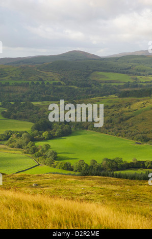 Flotte Valley National Scenic Area, von Doon von Culreoch, Dumfries and Galloway, Schottland, Vereinigtes Königreich, Europa Stockfoto