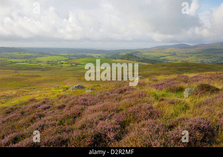 Flotte-Tal von Castramont Hill, Dumfries and Galloway, Schottland, Vereinigtes Königreich, Europa Stockfoto