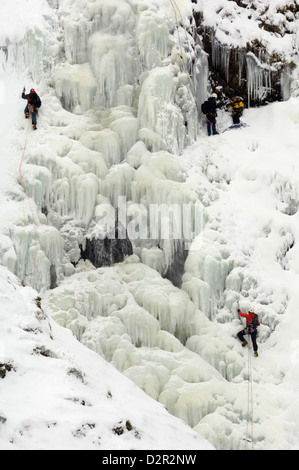 Eisklettern am Grey Mare Tail Wasserfall, Moffat Hills, Moffat Dale, Dumfries and Galloway, Schottland, Vereinigtes Königreich, Europa Stockfoto